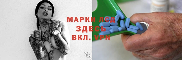 прущие грибы Горнозаводск