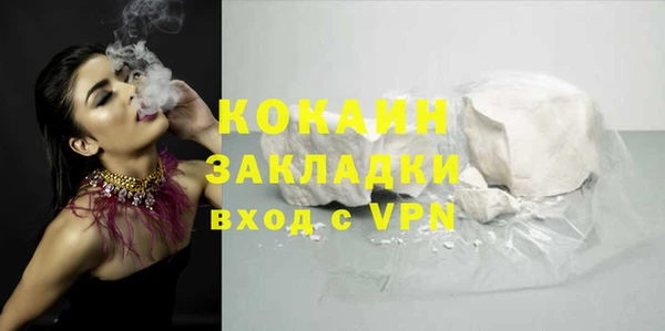 прущие грибы Горнозаводск
