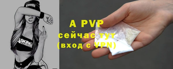 прущие грибы Горнозаводск