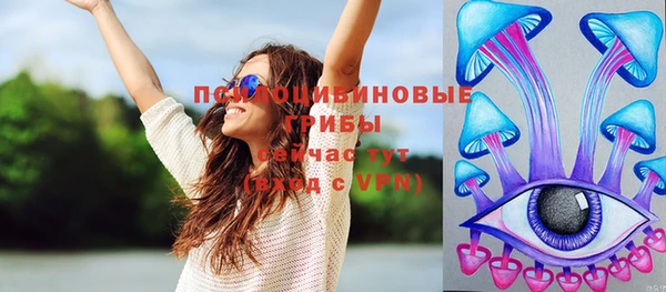 прущие грибы Горнозаводск