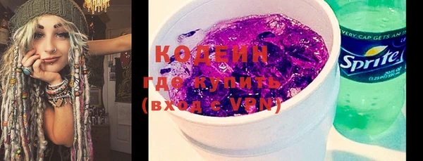 прущие грибы Горнозаводск