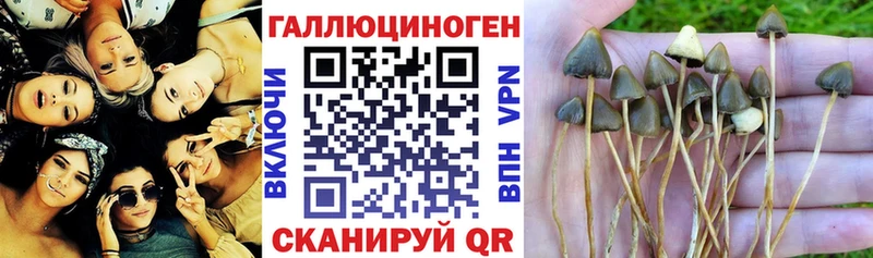 Псилоцибиновые грибы MAGIC MUSHROOMS  Электросталь 